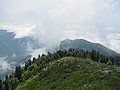 Mixed forest including Abies nordmanniana and Picea orientalis