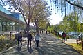 Centennial Trail through Downtown Spokane