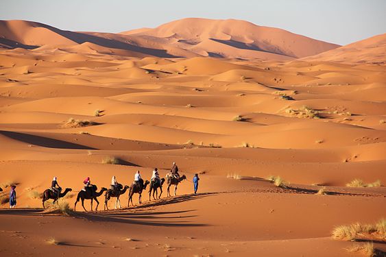 Erg Chebbi, Merzouga by Lefidele