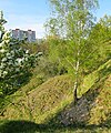 Čeština: Přírodní památka Salabka v Praze, kde je chráněné stepní rostlinné společenstvo vřesovištního typu English: Natural monument Salabka in Prague