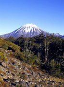 January 11: Field work at Mt. Ruapehu in New Zealand.