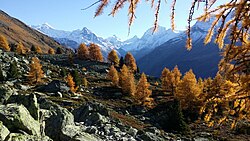 Zinalrothorn (4221m), Val D'Anniviers Licensing: CC-BY-SA-4.0