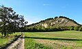 Čeština: Národní přírodní rezervace Děvín-Kotel-Soutěska, okres Břeclav English: National nature reserve Děvín-Kotel-Soutěska, Břeclav District