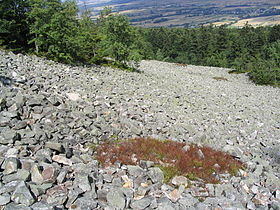 Świętokrzyskie Mountains, Poland