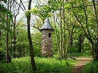 7: Lookout tower in Park Hohenrode, Neuhausen, Thuringia (Warttürmchen im Park Hohenrode in Neuhausen)