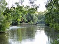 Teich am Gysenberg