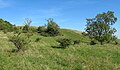 Čeština: Národní přírodní rezervace Děvín-Kotel-Soutěska, okres Břeclav English: National nature reserve Děvín-Kotel-Soutěska, Břeclav District