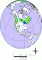 distribution of the genus abies in America