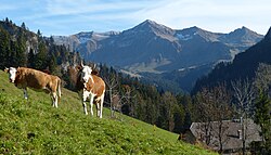 UNESCO Biosphäre Entlebuch Licensing: CC-BY-SA-4.0