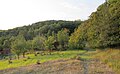 Čeština: Přírodní rezervace Zázmoníky u Bořetic, okres Břeclav, ČR English: Nature reserve Zázmoníky near Bořetice in Břeclav District, Czech Republic