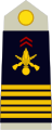 French Army OF-05 (Colonel)