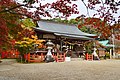 Tatsuta-taisha / 龍田大社