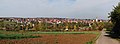 * Nomination Panoramic image of Ilsfeld, Germany. -- Felix Koenig 17:01, 25 October 2010 (UTC) * Promotion good --Carschten 14:15, 29 October 2010 (UTC)