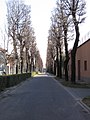 Viale Cimitero