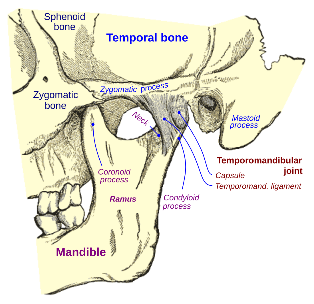 Temporomandibular joint dysfunction