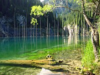 Kaindy lake, Kazakhstan.