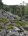 Čeština: Přírodní památka Hřebenec, nedaleko Rožmitálu pod Třemšínem v okrese Příbram (ČR) English: Natural monument Hřebenec, near Rožmitál pod Třemšínem in Příbram District (Czech Republic)