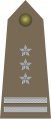 Polish Army OF-05 (Pułkownik)