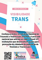 Thumbnail for File:Visibilidade trans.jpg