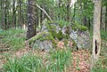 Čeština: Přírodní rezervace Getsemanka I. a II., nedaleko Rožmitálu pod Třemšínem v okrese Příbram (ČR) English: Nature reserve Getsemanka I. and II., near Rožmitál pod Třemšínem in Příbram District (Czech Republic)