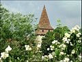 Tower of the city's monastery