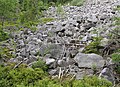 Čeština: Kamenné moře pod vrcholem Třemšína, v přírodním parku Třemšín nedaleko Hutí pod Třemšínem, okres Příbram - ČR English: Block of rocks in Nature park Třemšín, Příbram District in Czech Republic