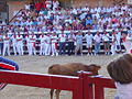 Encierro de vaquillas