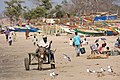 * Nomination Donkey cart and fishing boats in The Gambia --Ikiwaner 19:02, 8 April 2008 (UTC) * Promotion Nice image with good quality. --Nevit 01:44, 9 April 2008 (UTC)