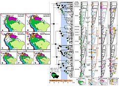 July 29: A phylogeographic image of poison frogs' lineages from South America.