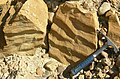 Ripplemarks in a biosparite/grainstone from the Middle Jurassic Carmel Formation, southwestern Utah.