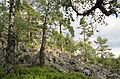 Čeština: Přírodní památka Hřebenec, nedaleko Rožmitálu pod Třemšínem v okrese Příbram (ČR) English: Natural monument Hřebenec, near Rožmitál pod Třemšínem in Příbram District (Czech Republic)