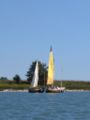 "Topetta" and "Topo": typical boats in Venice Lagoon