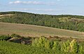 Čeština: Přírodní rezervace Zázmoníky z rozhledny Kraví Hora u Bořetic, okres Břeclav, ČR English: Nature reserve Zázmoníky from look-out tower Kraví Hora near Bořetice in Břeclav District, Czech Republic