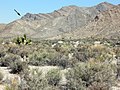 Landscape showing Alamo impact breccia (Late Devonian, Frasnian) near Hancock Summit, Pahranagat Range, Nevada.