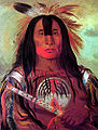 Stu-mick-o-súcks, Buffalo Bull's Back Fat, Head Chief, Blood Tribe