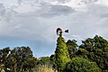 Weather vane in Prior Velho