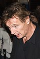 Irish actor Liam Neeson