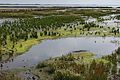 Tidal marsh at periphery West of Mandø, in the Wadden Sea.