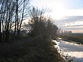 Nuthegraben (Drainage channel / Entwässerungsgraben) in December