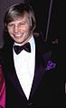 Michael York (Arthur)