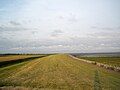 Sea dike, Schiermonnikoog