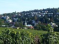 View over Neustift