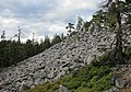 Čeština: Přírodní památka Hřebenec, nedaleko Rožmitálu pod Třemšínem v okrese Příbram (ČR) English: Natural monument Hřebenec, near Rožmitál pod Třemšínem in Příbram District (Czech Republic)