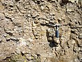 Outcrop of Ordovician oil shale (kukersite), northern Estonia.