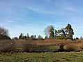 Waldvierteler Landschaft bei Wurmbrand