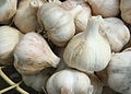 * Nomination Basket of garlic bulbs --Jonathunder 15:14, 24 September 2010 (UTC) * Promotion Nice. Mattbuck 12:15, 2 October 2010 (UTC)