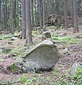 Čeština: Přírodní rezervace Stvořidla podél řeky Sázavy, okres Havlíčkův Brod English: Nature Reserve Stvořidla along River Sázava, Havlíčkův Brod District