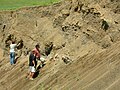 Late Cretaceous cold seep deposit in the Pierre Shale, southwest South Dakota.