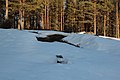 Svenska: Rester efter en järnbod på Lapphyttan, Norbergs kommun, Sverige. This is a picture of an archaeological site or a monument in Sweden, number Karbenning 22:1 in the RAÄ Fornsök database.