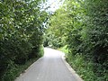 Street in Ledinci